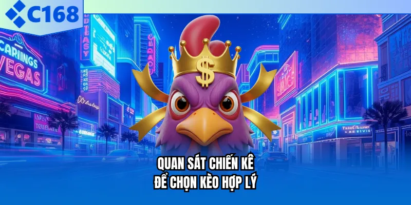 Quan sát chiến kê để chọn kèo hợp lý